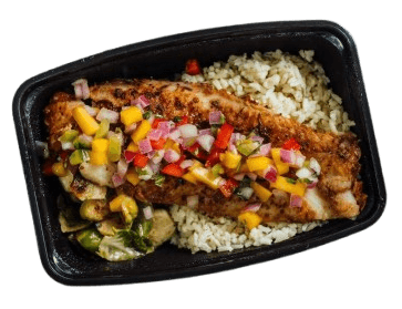 Humand Food Lab Dish